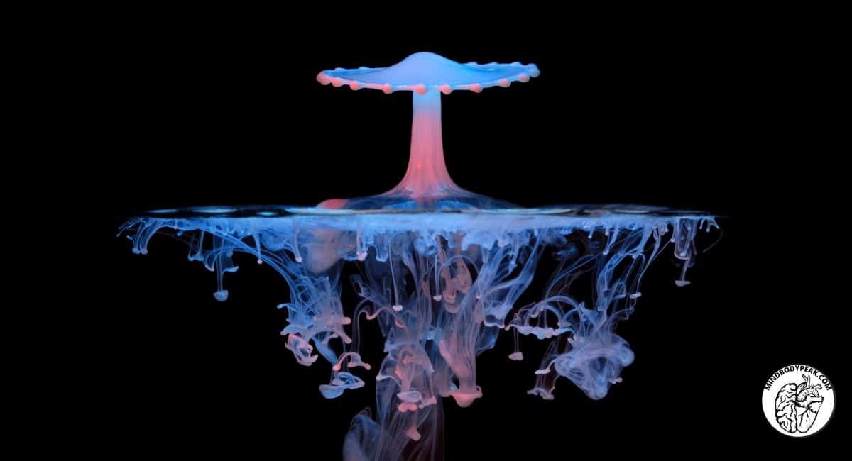 Mind Body Peak Performance Interview | Dr. Mason Bresett @ Real Mushrooms|