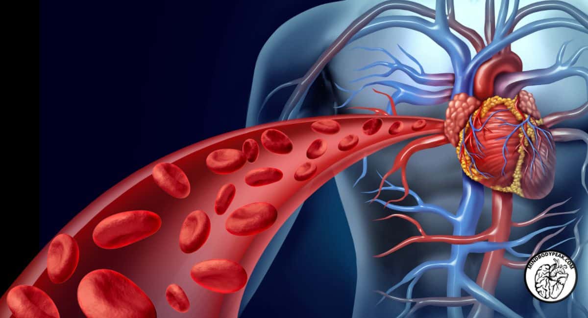 Mind Body Peak Performance Blood Glucose Monitoring | Molly Downey @ NutriSense|