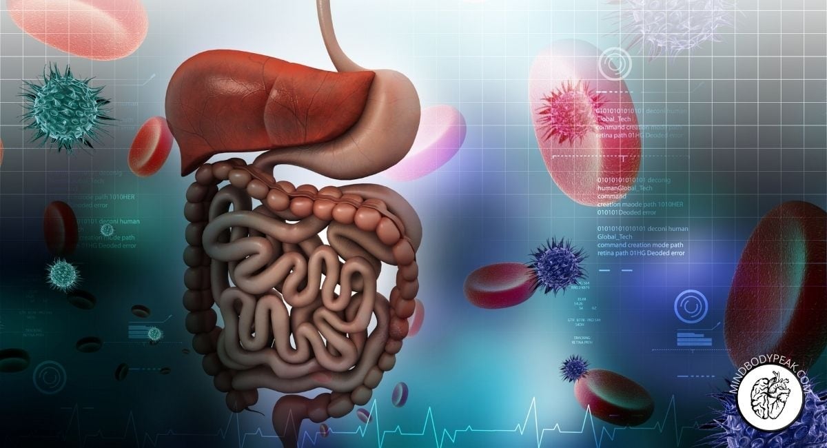 Trish Whetstone (Feel Good Gut Girl) Interview|