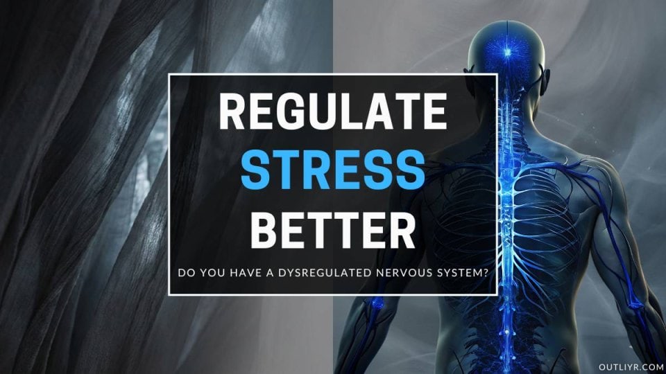 Nervous System Regulation Guide