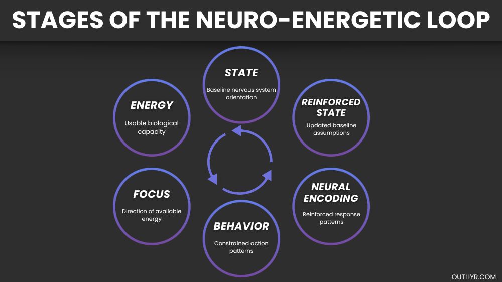 NeuroenergeticLoop The six stages of the neuroenergetic loop