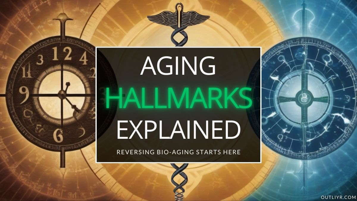 Newest “Hallmarks of Aging” Process Revealed & Explained