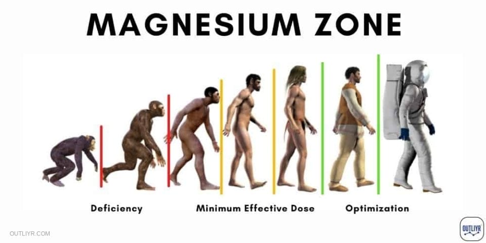 Optimal Magnesium Dosage Zone for Human Performance