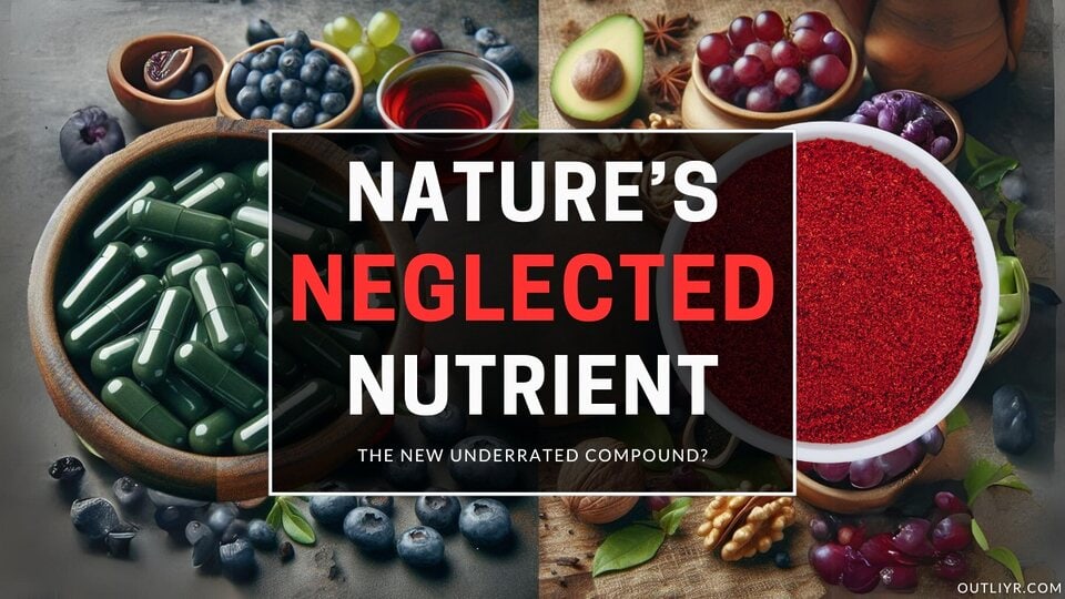 Polyphenols Sources Benefits