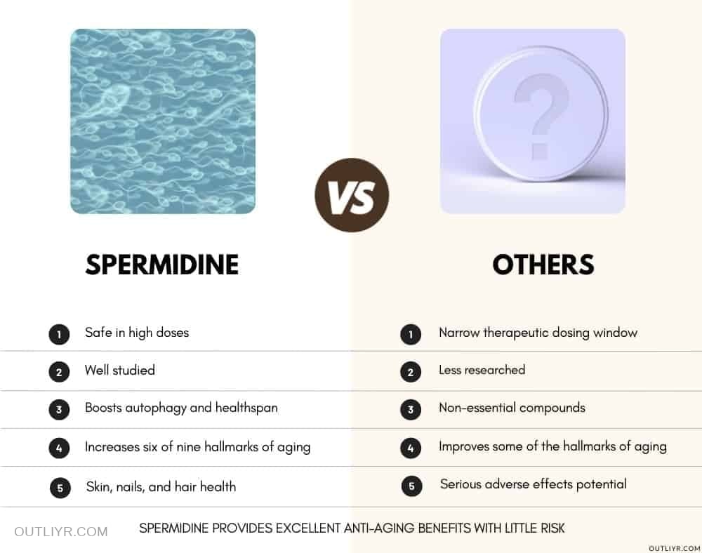 Spermidine Supplements vs NMN vs Rapamycin vs Fisetin