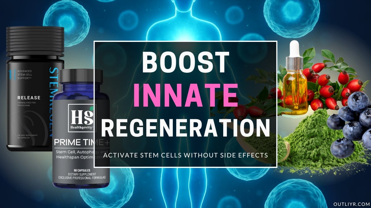 Stem Cell Guide