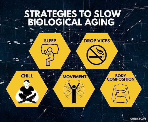 Strategies to Slow Biological Aging