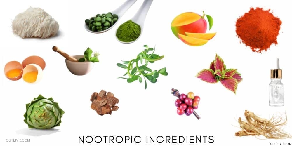 TakeThesis Nootropic Ingredients Review