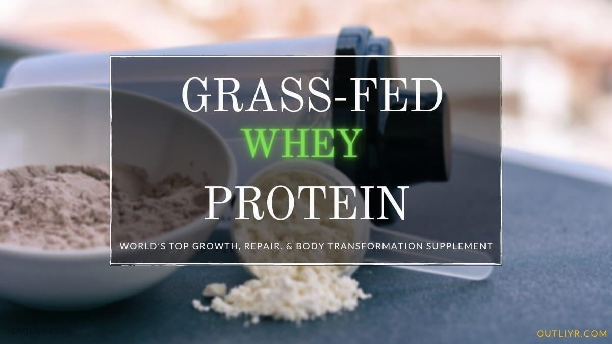 Top Grass Fed Whey Protein Powders