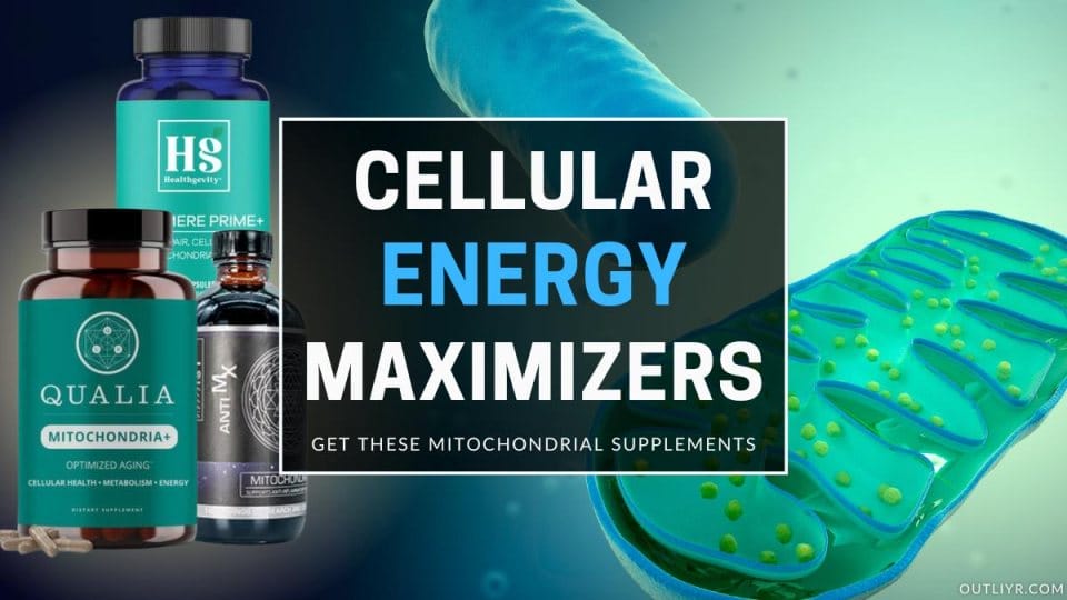 Top Mitochondrial Supplements