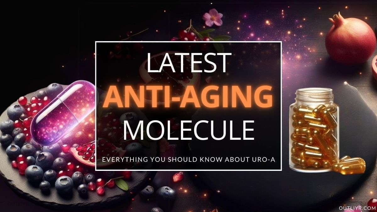 Urolithin A supplements and their natural sources  pomegranate and berries