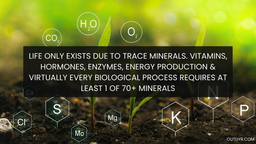 Trace Minerals Health Quote