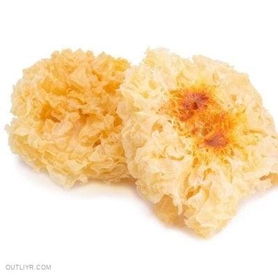 Tremella, a snow fungus which is one of an adaptogenic mushroom that is known for aesthetic use. 