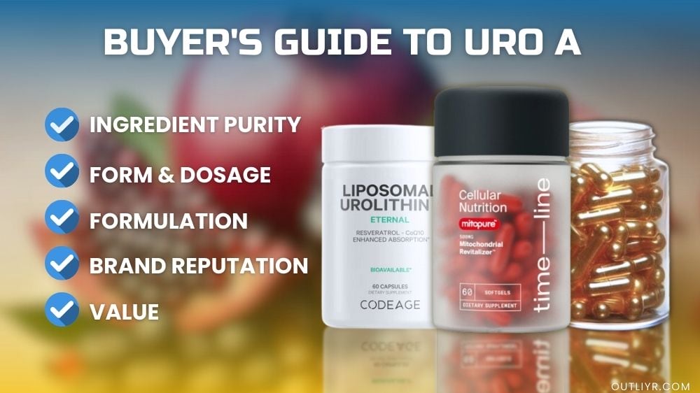 5 things you need to consider to get the best Urolithin A supplement for you