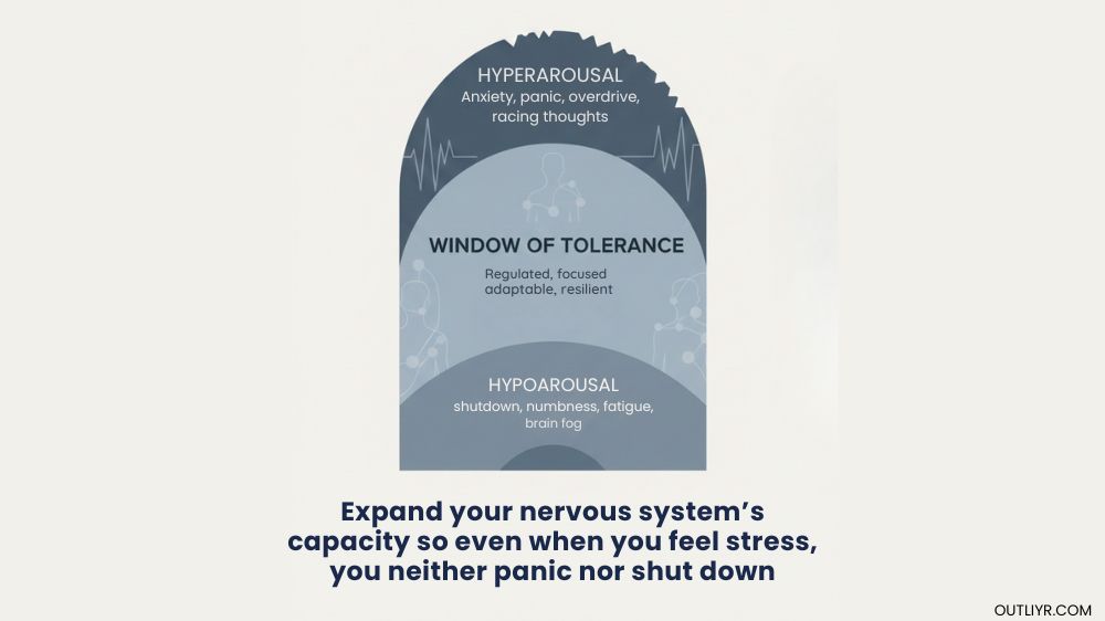Graphic on the window of tolerance