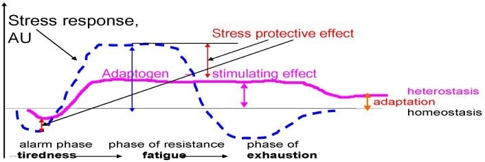 Biohacking Stress With Adaptogens