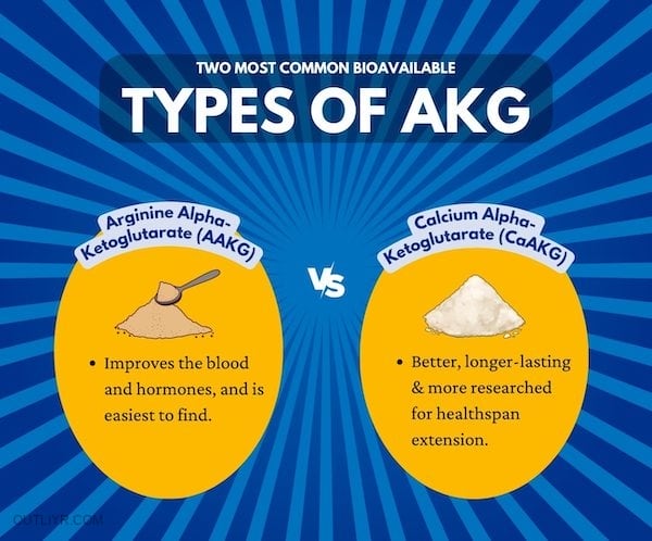 Best forms of alphaketoglutarate supplements