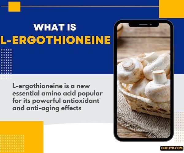 Ergothioneine Definition