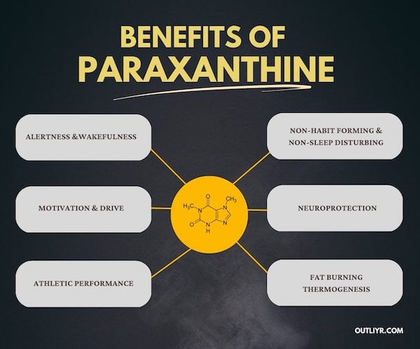 Benefits of Paraxanthine