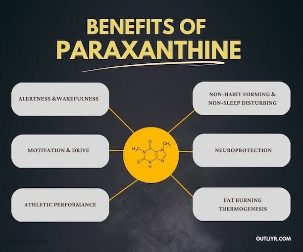 Benefits of Paraxanthine