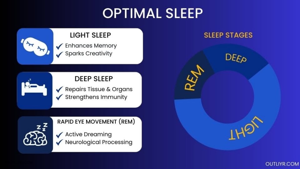 Adequate sleep supports liver function, aiding in the detoxification process