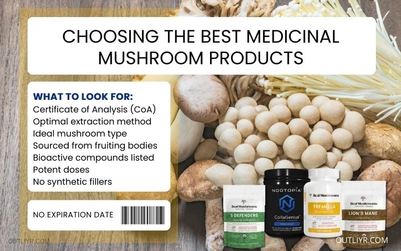 best medicinal mushroom supplements