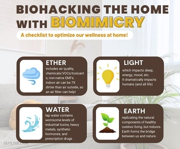 biohack house biomimicry cheat sheet