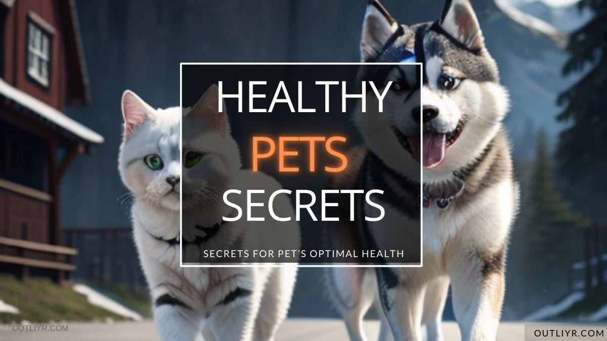 How to Maximize Your Pet’s Health & Longevity (Biohacker’s Tips for Cats & Dogs)