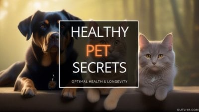 biohacking dog cat health longevity