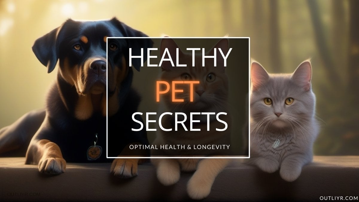 How to Maximize Your Pet’s Health & Longevity (Biohacker’s Tips for Cats & Dogs)