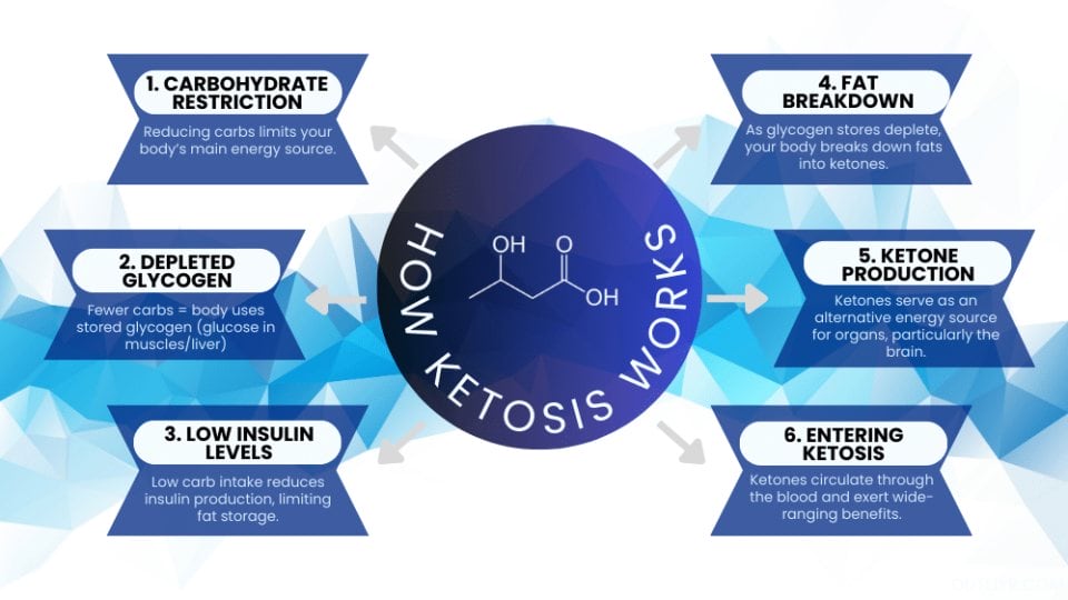 The Process of How Ketosis Works