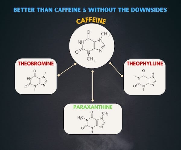 Caffeine Metabolism