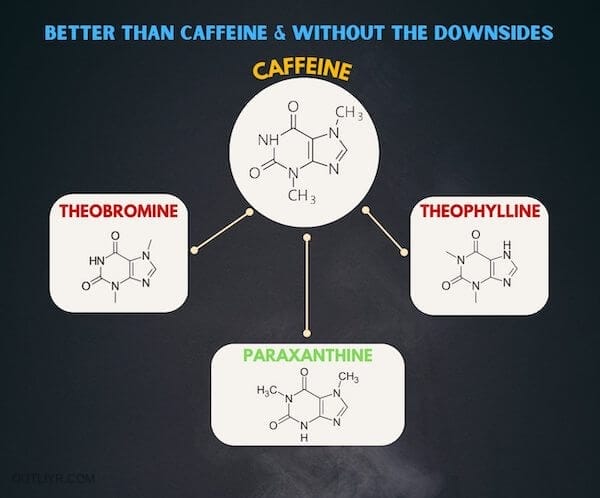 caffeine metabolism