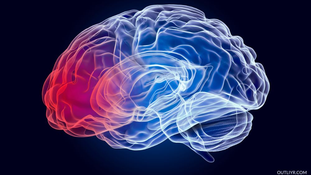 The affected part of a TBI shown in red