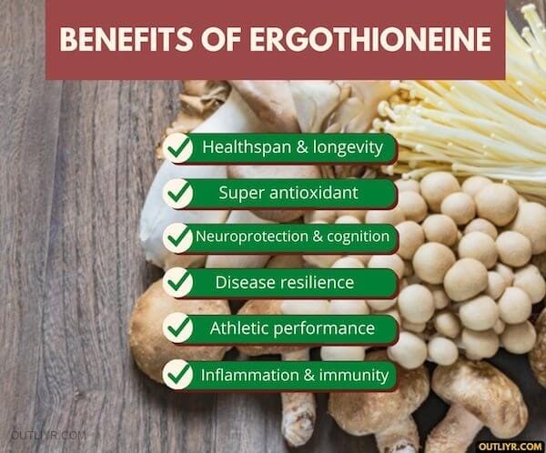 Benefits of Ergothioneine