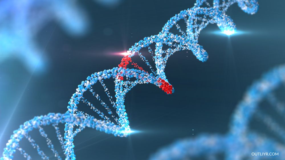 Damaged DNA strand