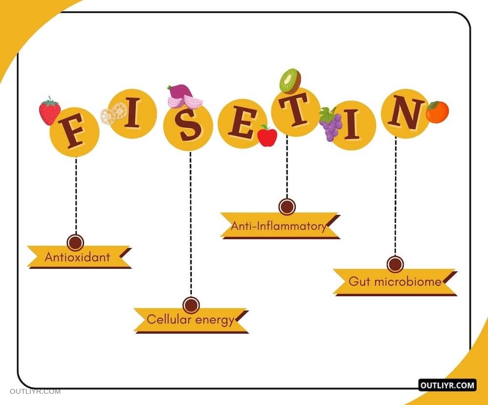 how fisetin works