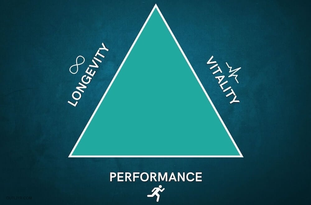 how nmn supplements work