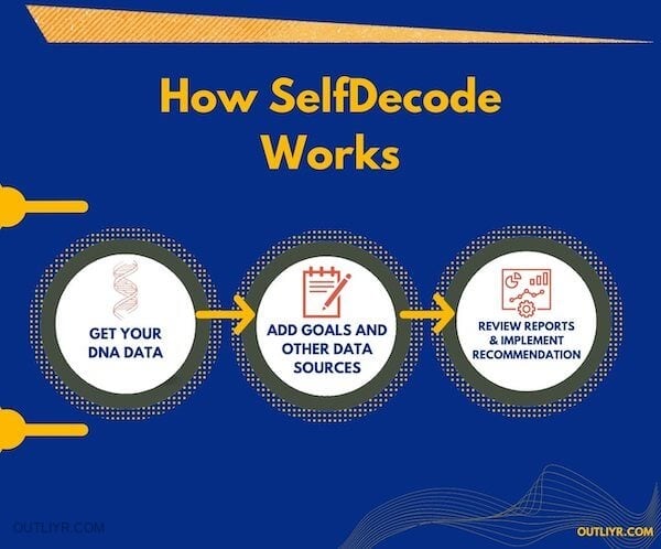 How SelfDecode Works