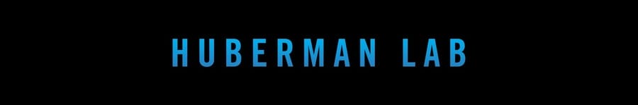 Huberman Lab banner