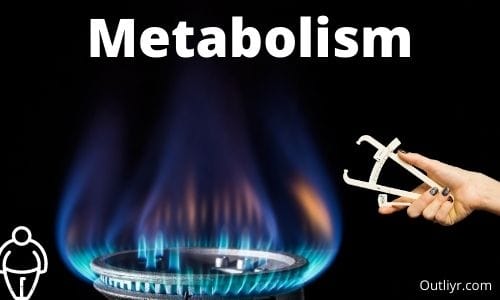 Insulin Metabolic Master Switch