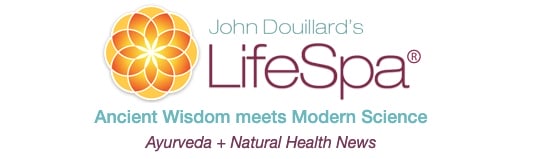 lifespalogo lifespa logo