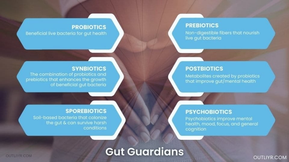 Good gut bacteria, probiotics that improves  cognitive and body performance. 