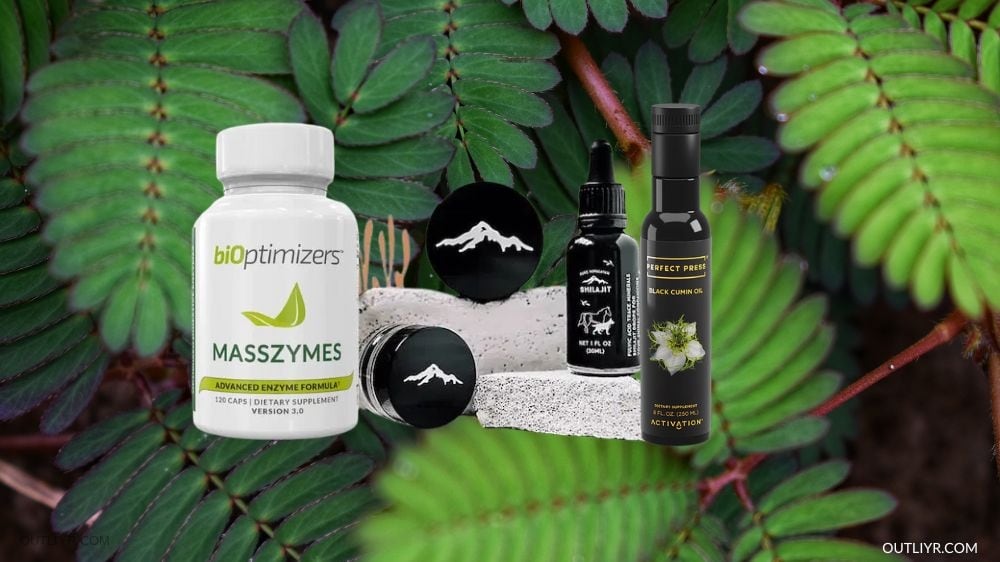 Bioptimizers MassZymes, Pure Himalayan Shilajit, & Activation Products; Black Cumin Oil with a Mimosa pudica background