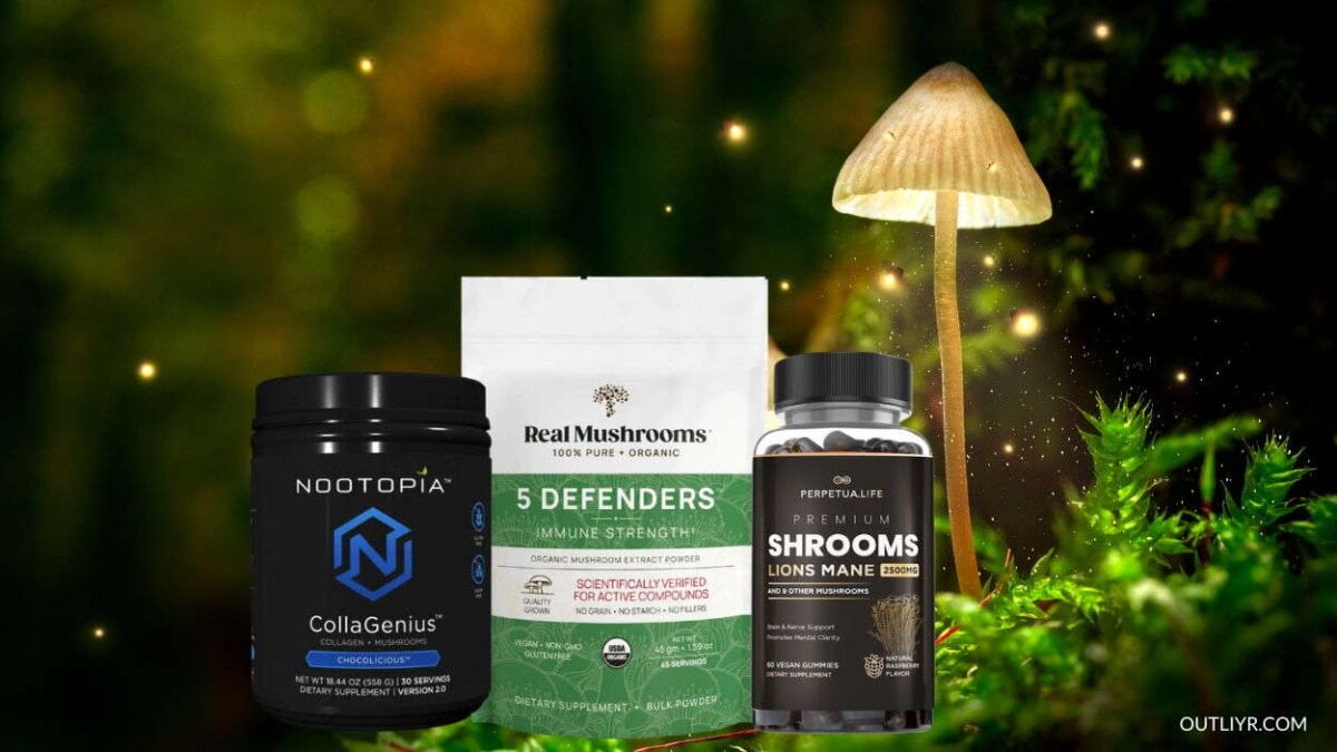 mushrooms adaptogens products img
