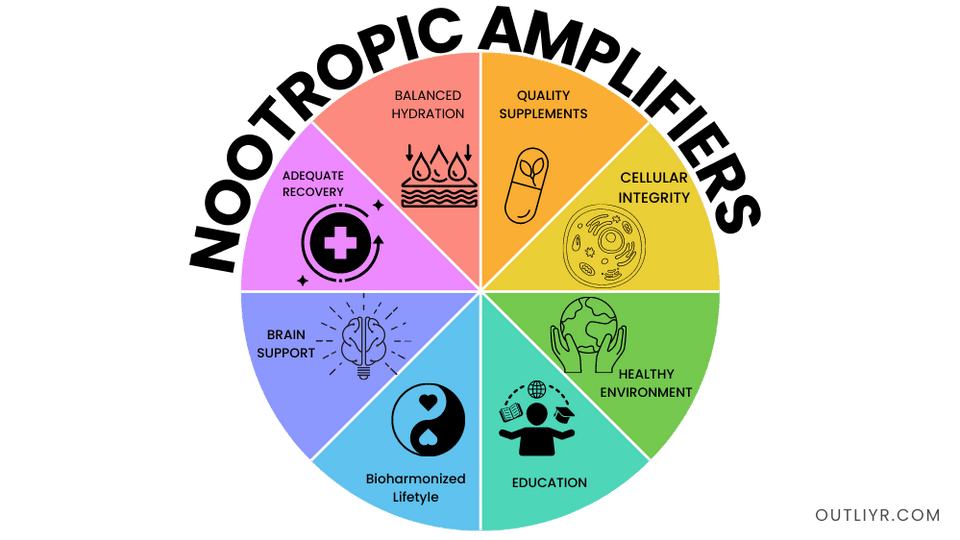 Nootropic amplifiers that improves brain function
