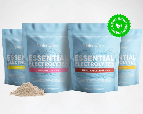 paleovalley essential electrolytes pouches