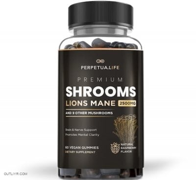 perpetualife mushroom supplement review