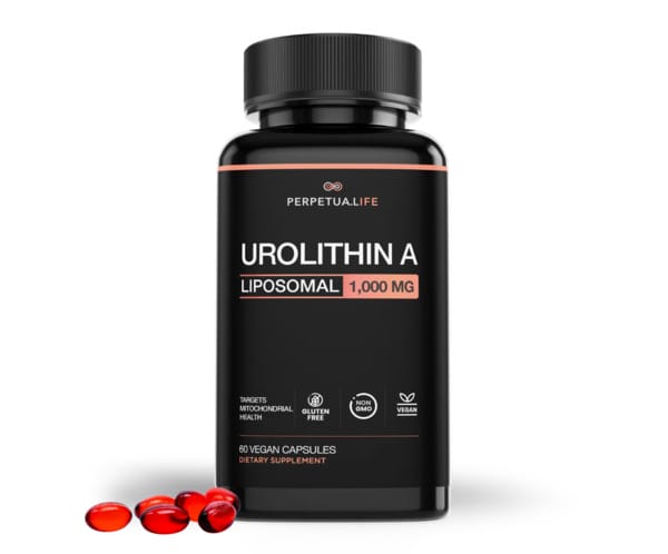 perpetualife urolithina bottle