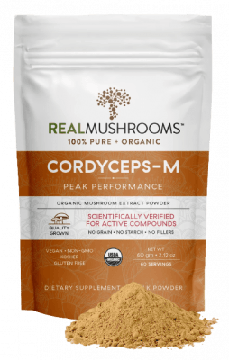 Cordyceps 